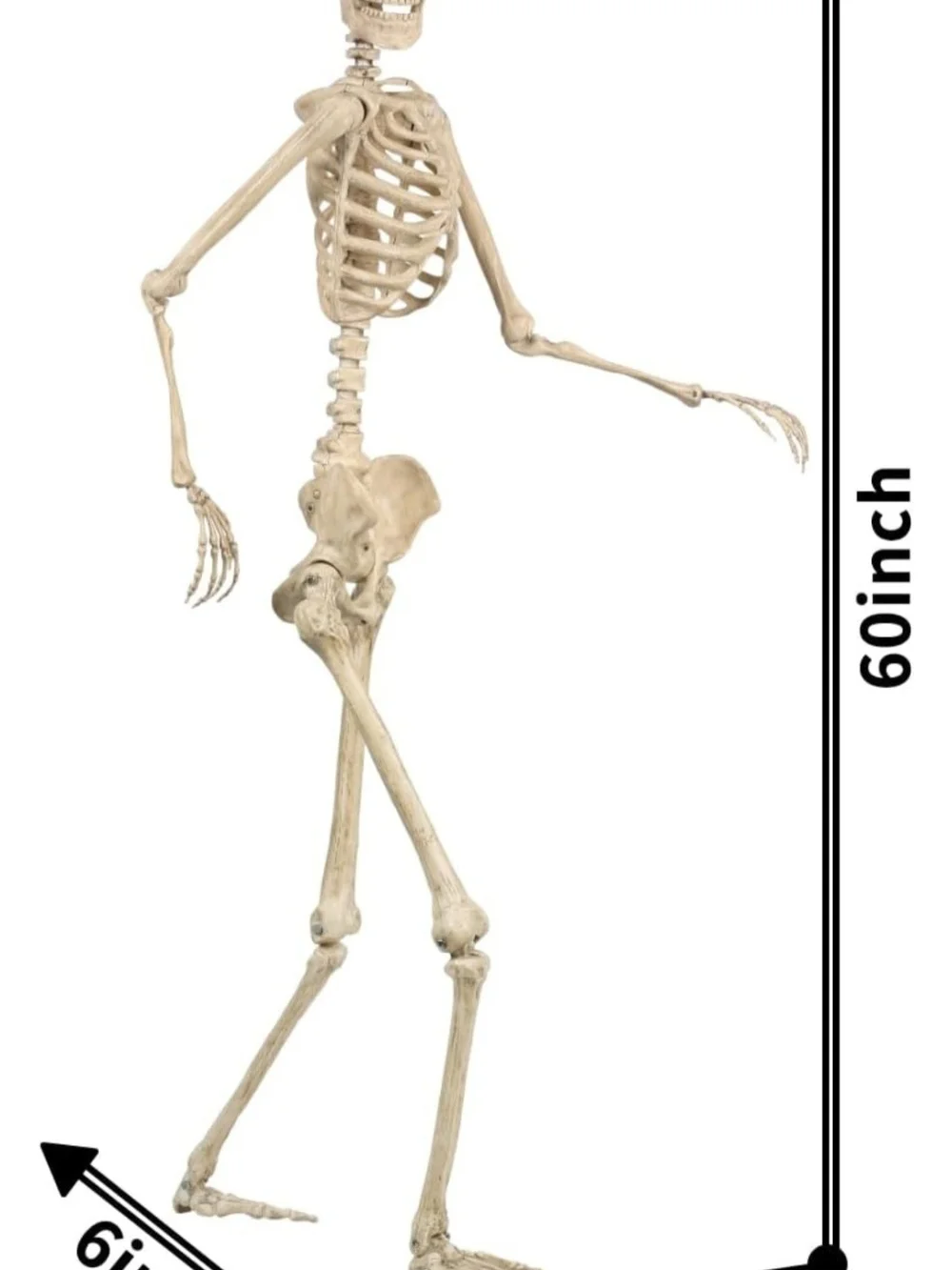 5FT Life-Size Pose-N-Stay Posable Halloween Skeleton Decor NWT